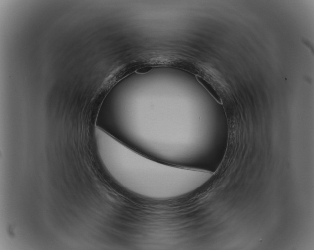 X0000098010312200803280736