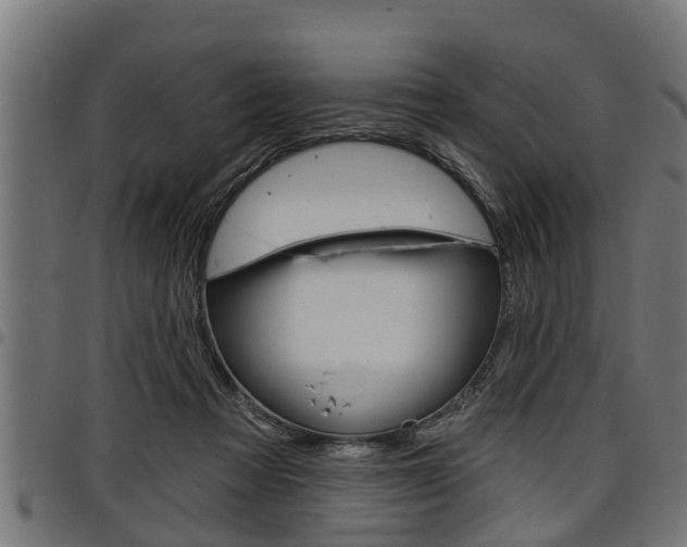 X0000098010313200803280736