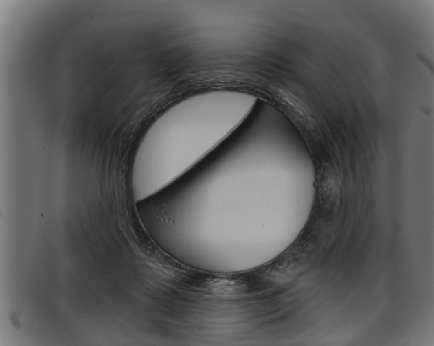 X0000098010315200803280736