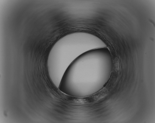 X0000098010316200803280736