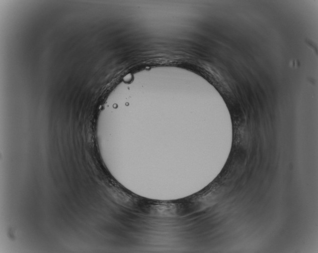X0000098010317200803280736