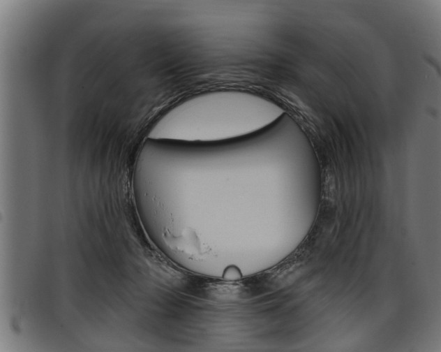 X0000098010318200803280736