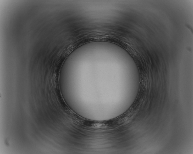X0000098010319200803280736