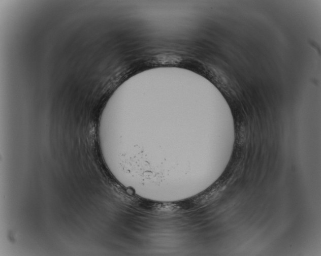 X0000098010321200803280736