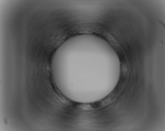X0000098010322200803280736