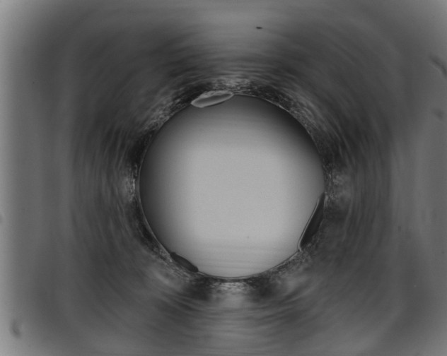 X0000098010324200803280736