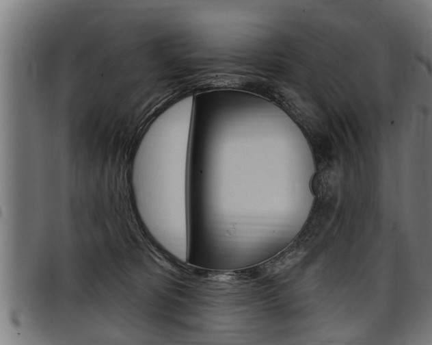 X0000098010325200803280736