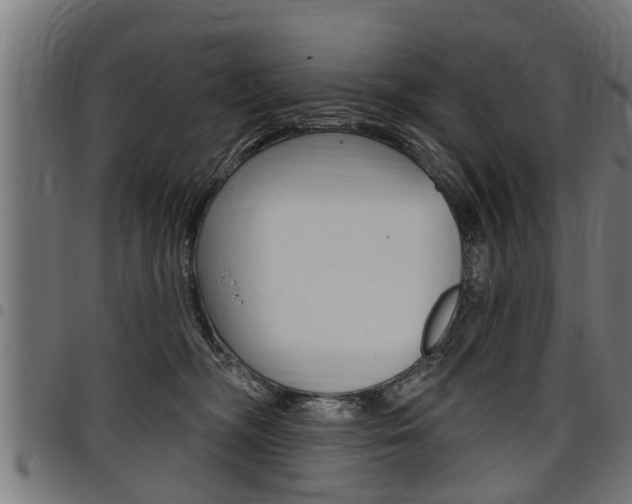 X0000098010326200803280736