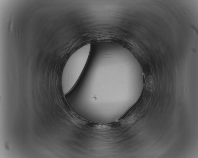 X0000098010327200803280736
