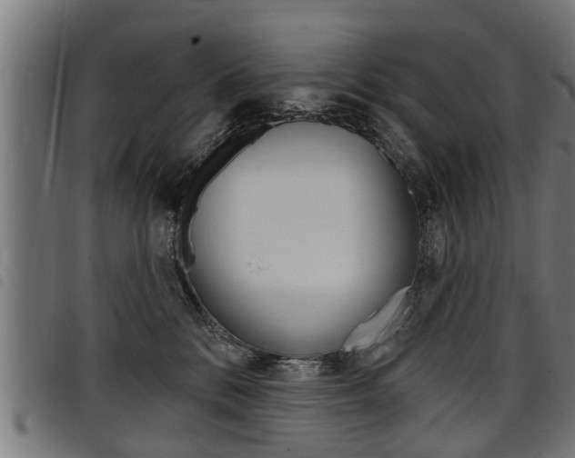 X0000098010328200803280736