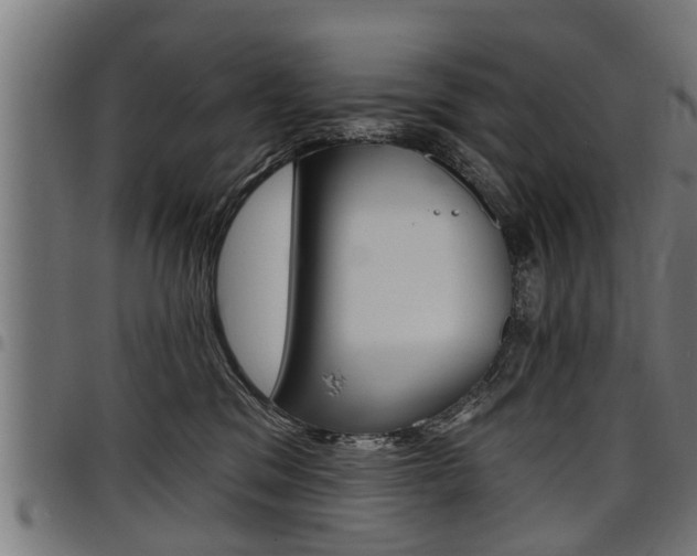 X0000098010329200803280736