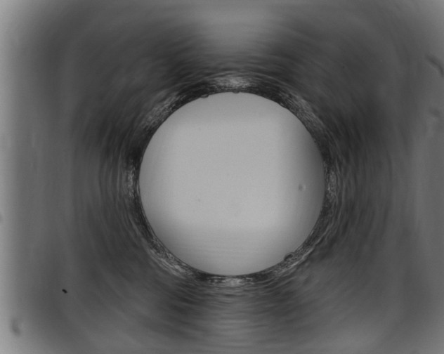 X0000098010330200803280736