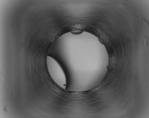 X0000098010331200803280736