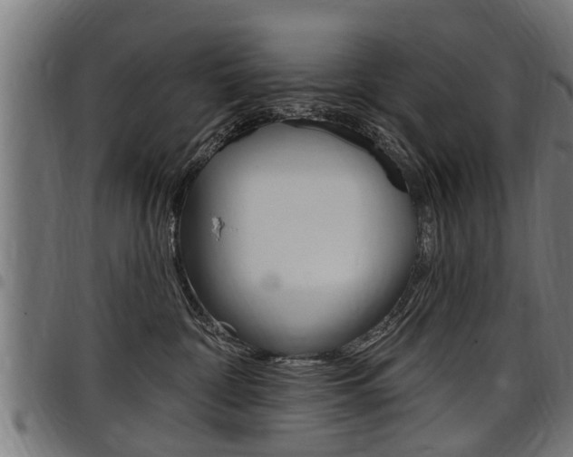 X0000098010332200803280736