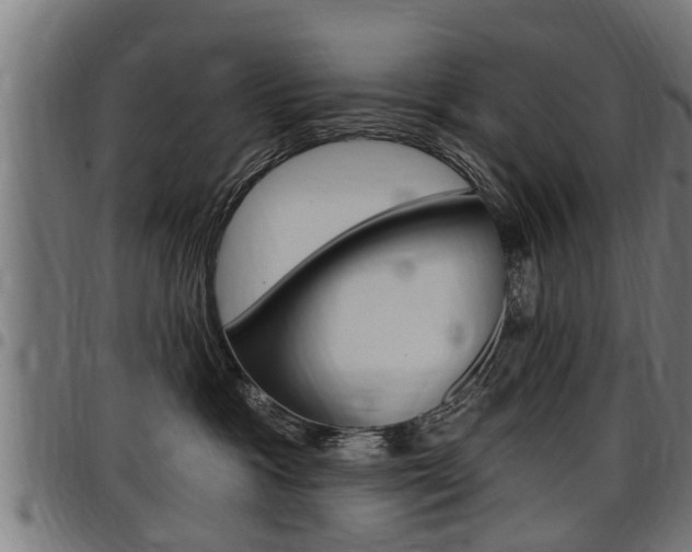 X0000098010333200803280736