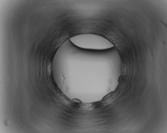 X0000098010334200803280736