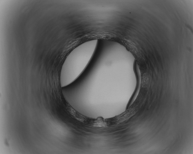 X0000098010335200803280736