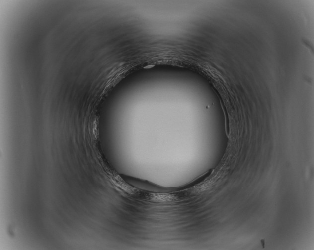 X0000098010336200803280736