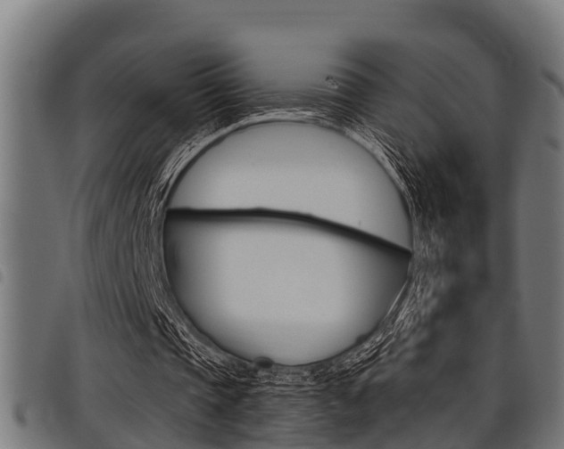 X0000098010337200803280735