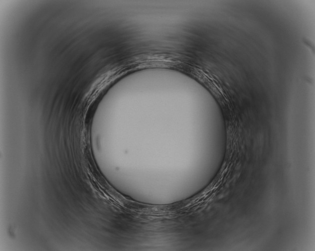 X0000098010338200803280735