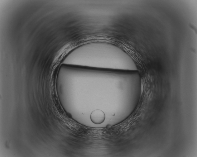 X0000098010339200803280735