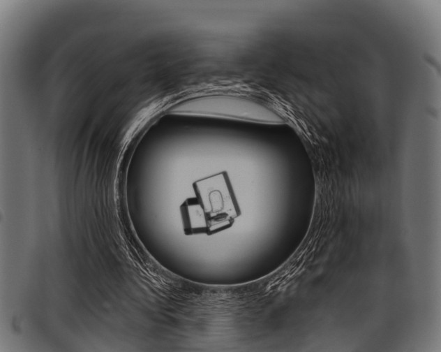 X0000098010340200803280735