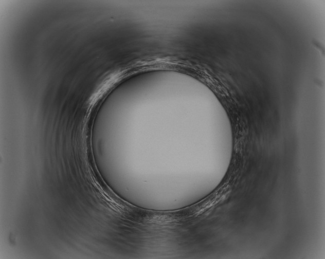 X0000098010341200803280735