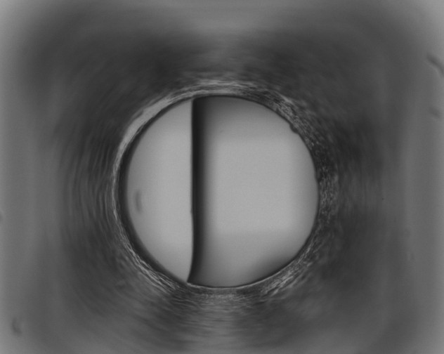 X0000098010342200803280735
