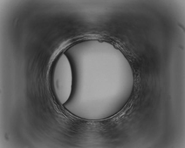 X0000098010343200803280735