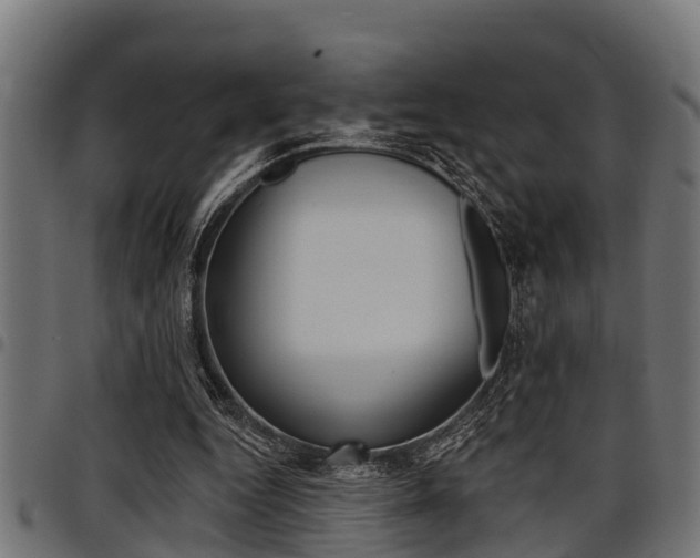 X0000098010344200803280735