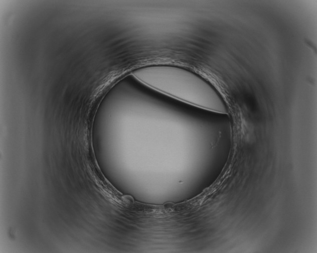 X0000098010345200803280735