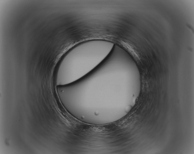 X0000098010346200803280735