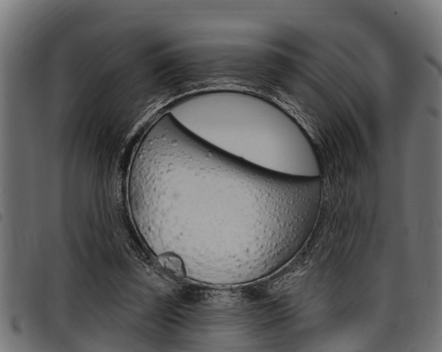 X0000098010347200803280735