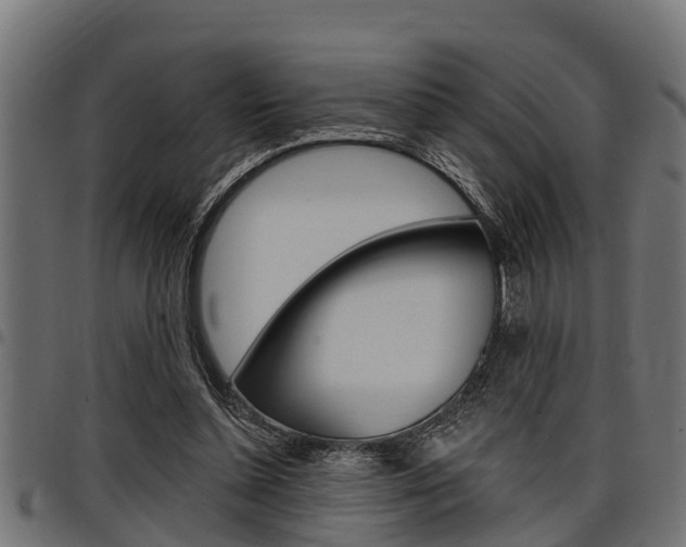 X0000098010348200803280735