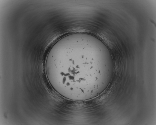 X0000098010351200803280736