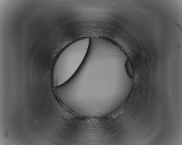 X0000098010353200803280736