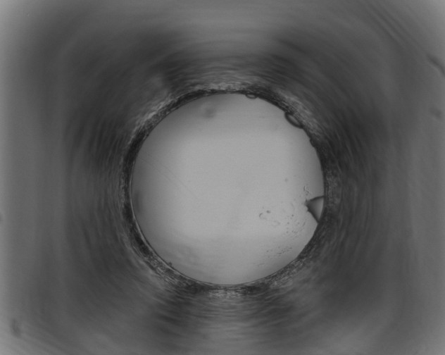 X0000098010354200803280736
