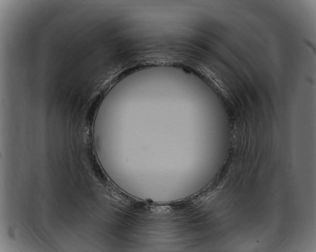 X0000098010355200803280736