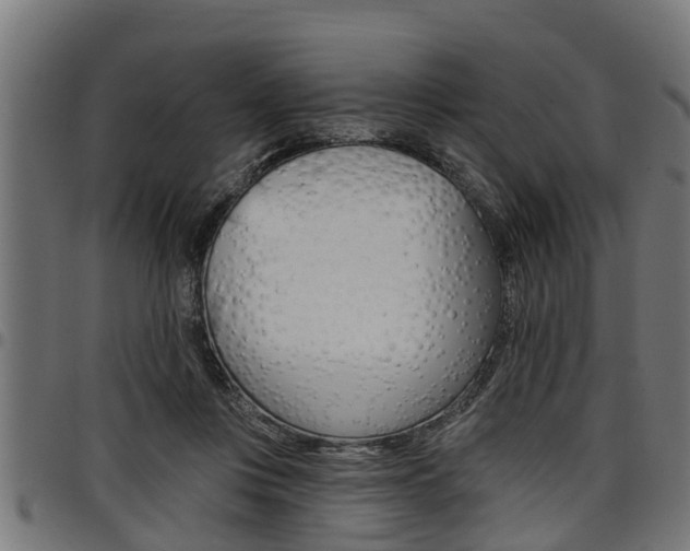 X0000098010359200803280736