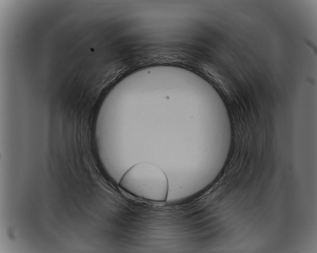 X0000098010362200803280736