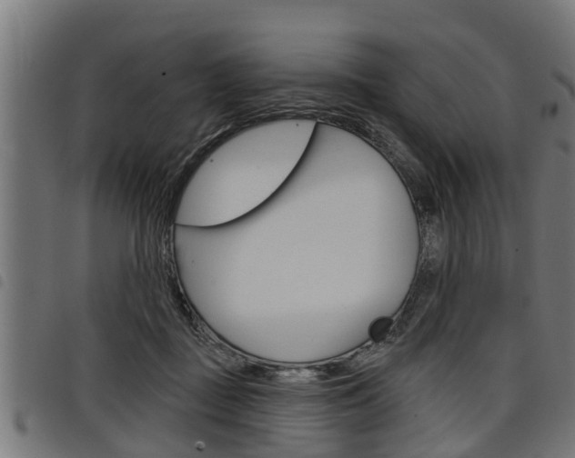 X0000098010363200803280736