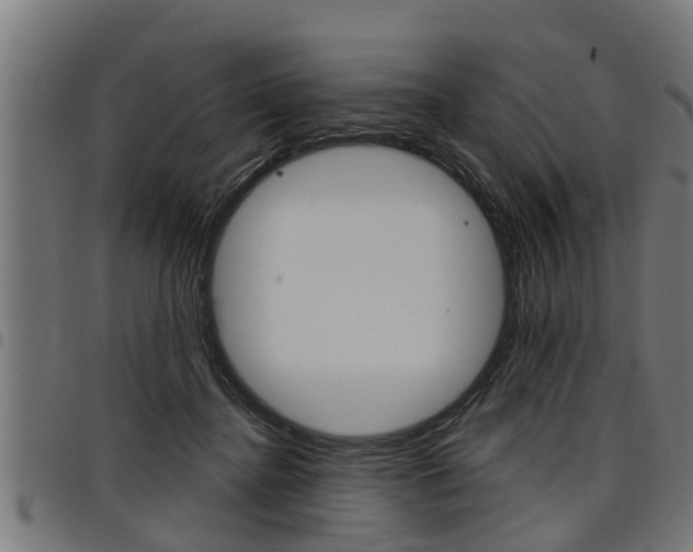 X0000098010364200803280736