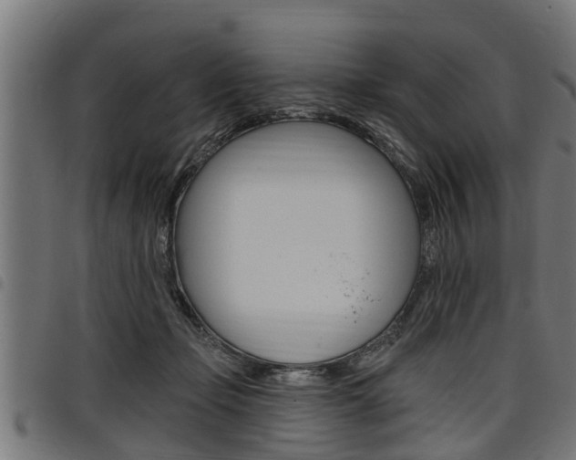 X0000098010365200803280736