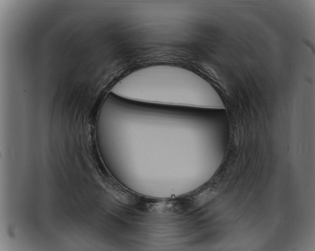 X0000098010366200803280736