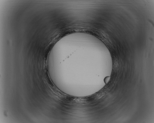 X0000098010367200803280736