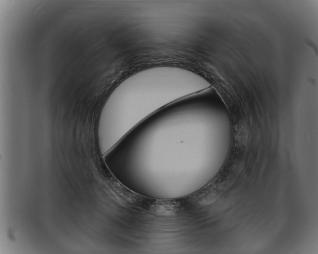X0000098010368200803280736