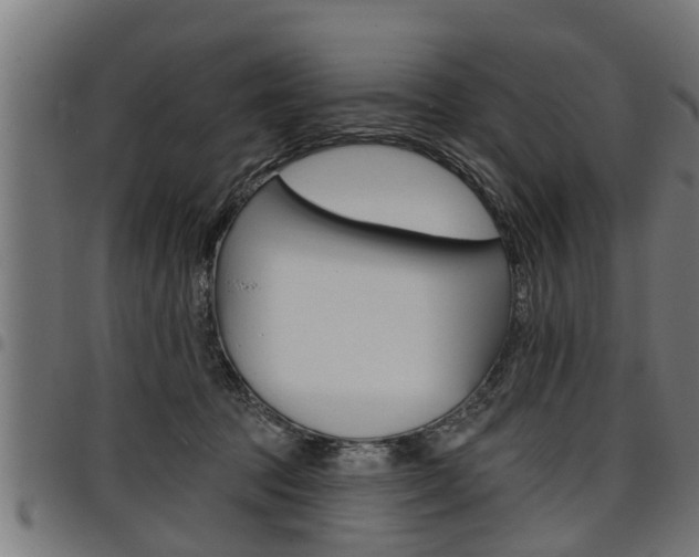 X0000098010369200803280736
