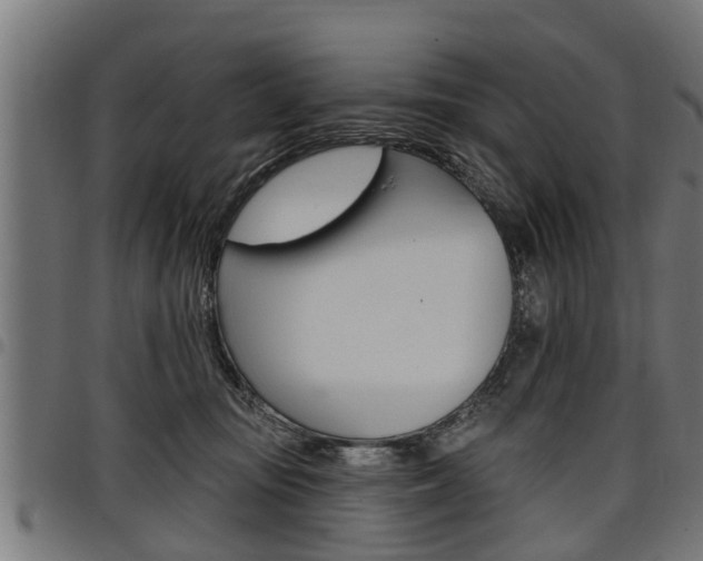 X0000098010371200803280736