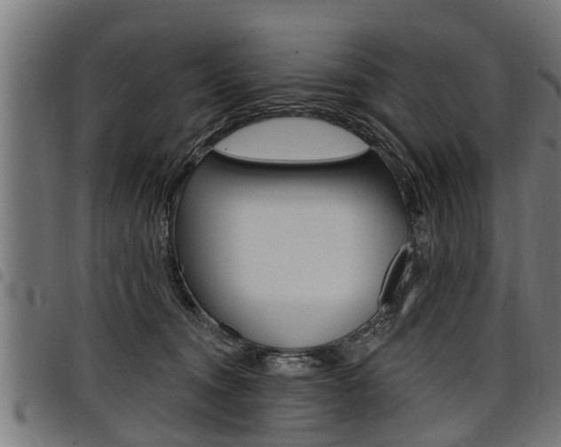 X0000098010372200803280736