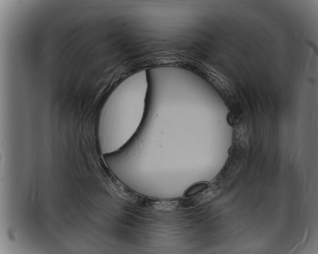 X0000098010373200803280736